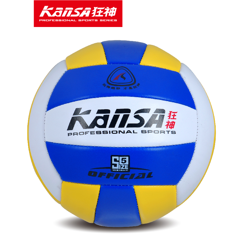 Ballon de volley - Ref 2011233 Image 1