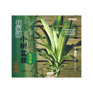 在家种小树盆栽真简单