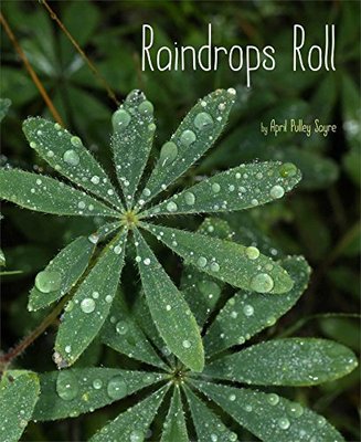 【预售】Raindrops Roll