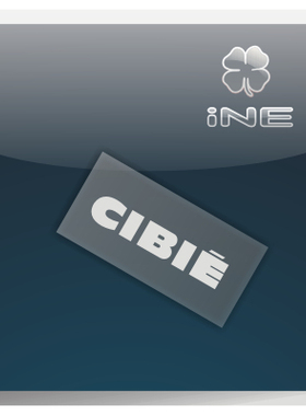 CIBIE/WRC赞助商痛车贴纸摩托电动车机箱本本行李箱头盔贴-BB013