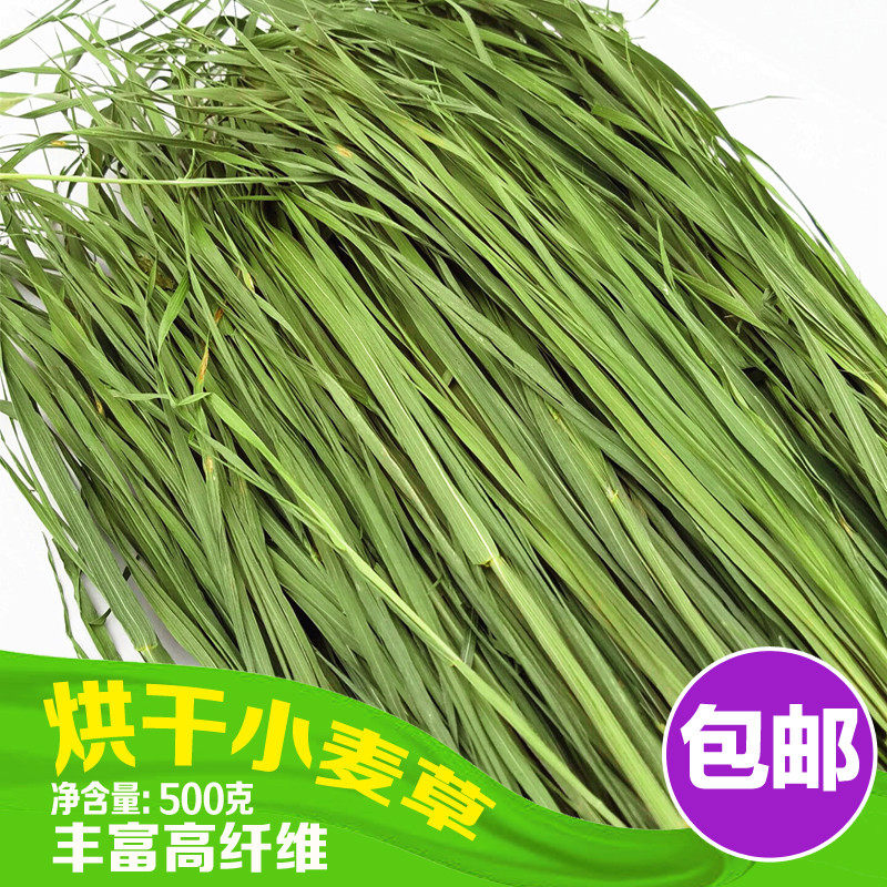 洁西烘干小麦草干草牧草兔子草龙猫荷兰猪干草牧草 500g 包邮多省,宠物/宠物食品及用品,兔兔干草,淘宝优惠券,粉丝福利购,淘宝优惠卷