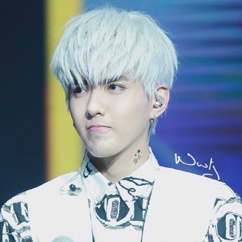 Perruque cheveux raides Court - Ref 2608095 Image 1