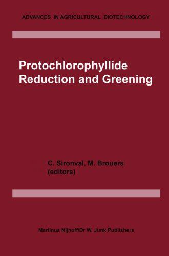【预订】Protochlorophyllide Reduction and Greening