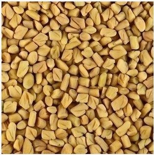 中药材 芦巴子/苦豆/香草籽/葫芦巴/苦草/胡巴/芸香草 500g包装