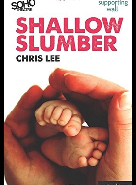 【预售】Shallow Slumber