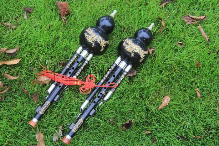 葫芦丝初学乐器专卖专业演奏型高档红木黑檀葫芦丝降b调c调包邮