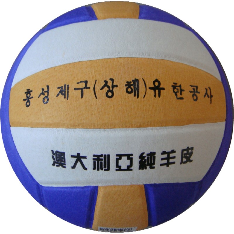 Ballon de volley-ball - Ref 2008476 Image 1