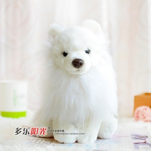 zoo 现货 包邮 coffee仿真博美犬狗狗pomeranian毛绒玩具公仔