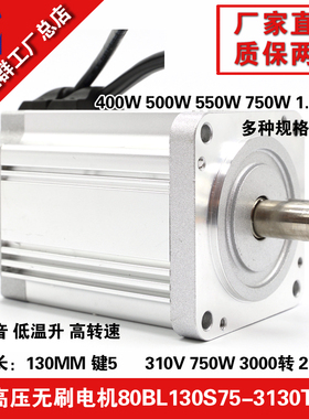 时代超群高速3000转750W高压大功率直流无刷电机80BL130S75-3130