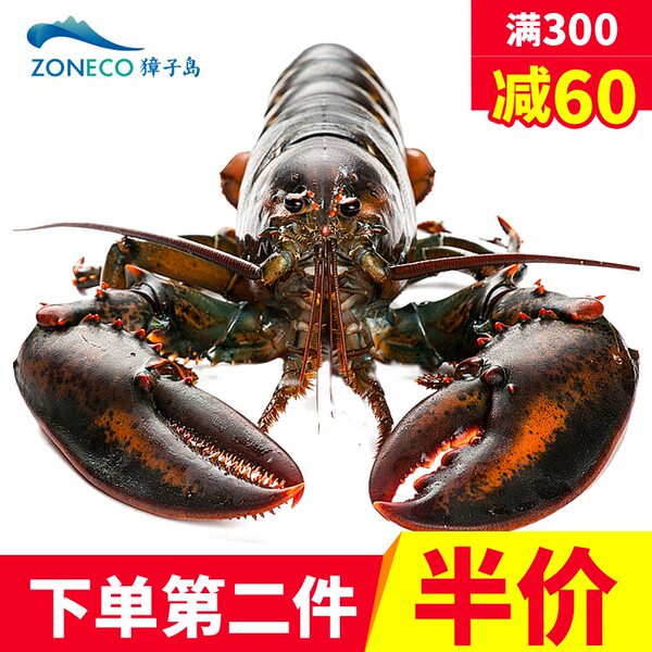 加拿大进口 獐子岛 波士顿鲜活大龙虾 500g*2只 优惠券折后¥198.5包邮 可满¥300-60 加拿大进口 獐子岛 波士顿鲜活大龙虾 500g*2只 优惠券折后¥198.5包邮 可满¥300-60