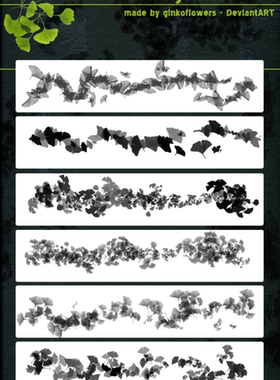 PS笔刷画笔笔触 银杏树叶ps笔刷