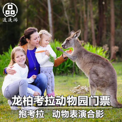 龙柏考拉动物园票