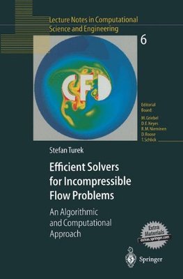 【预订】Efficient Solvers for Incompressible...