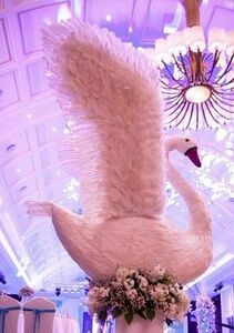 定做各种仿真鸟动物模型 仿真天鹅 羽毛白天鹅 婚庆影楼道具