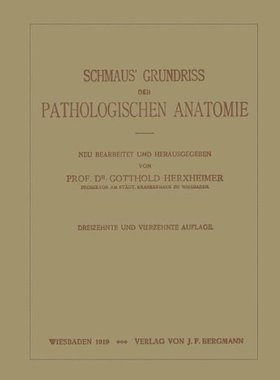 【预订】Schmaus Grundriss Der Pathologischen...