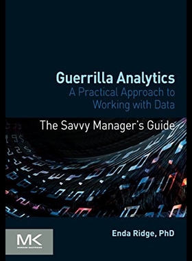【预售】Guerrilla Analytics: A Practical Approach to Work
