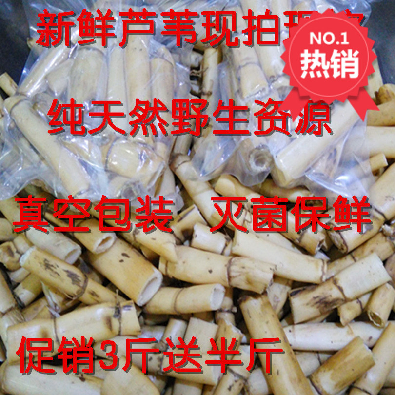 真空包装新鲜芦根农家现挖野生芦苇根芦根苇子根现挖现卖