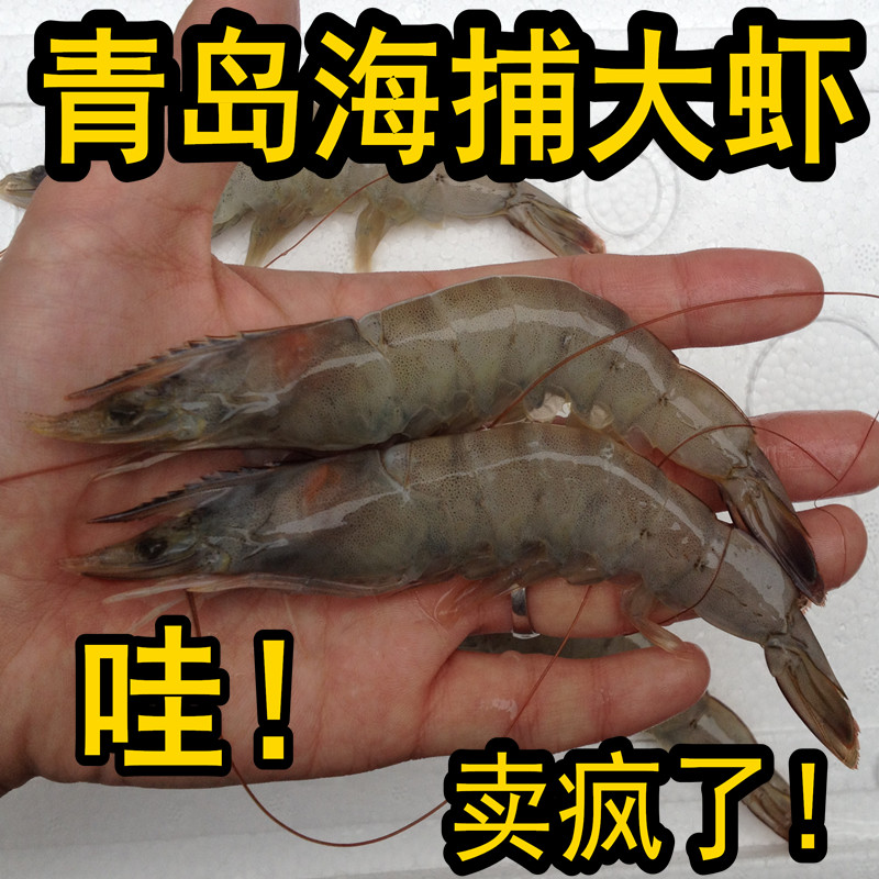 青岛鲜活大虾海虾鲜虾青虾
