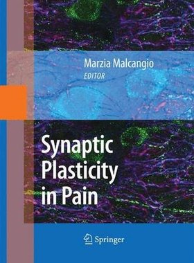 【预订】Synaptic Plasticity in Pain