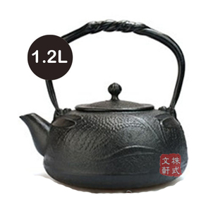 烧水壶铸铁茶壶铁盖铜盖礼品 日本 南部铁器 宝生堂 童趣蜻蜓铁壶