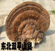 包邮 长白山野生平盖灵芝大个灵芝 半斤一斤 树舌灵芝25元 lingzhi