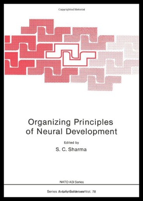 【预售】Organizing Principles of Neural Development
