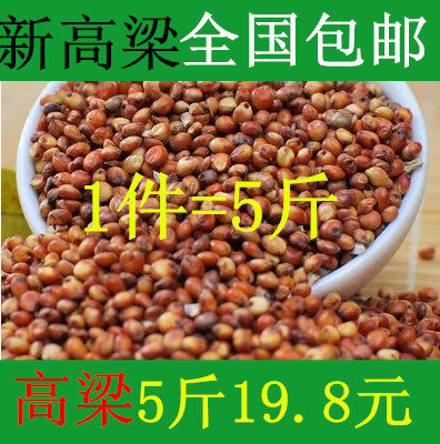 a级鸽粮带壳新高梁斑鸠肉鸽信鸽