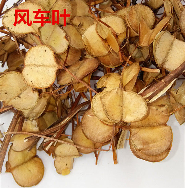 野生中草药材风车叶风车藤风车儿风吹叶李风车叶子耳响鸣散装包邮