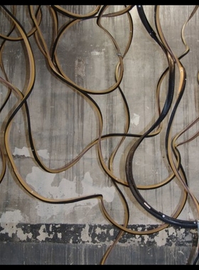 【预售】A Singular Plurality: The Works of Dar