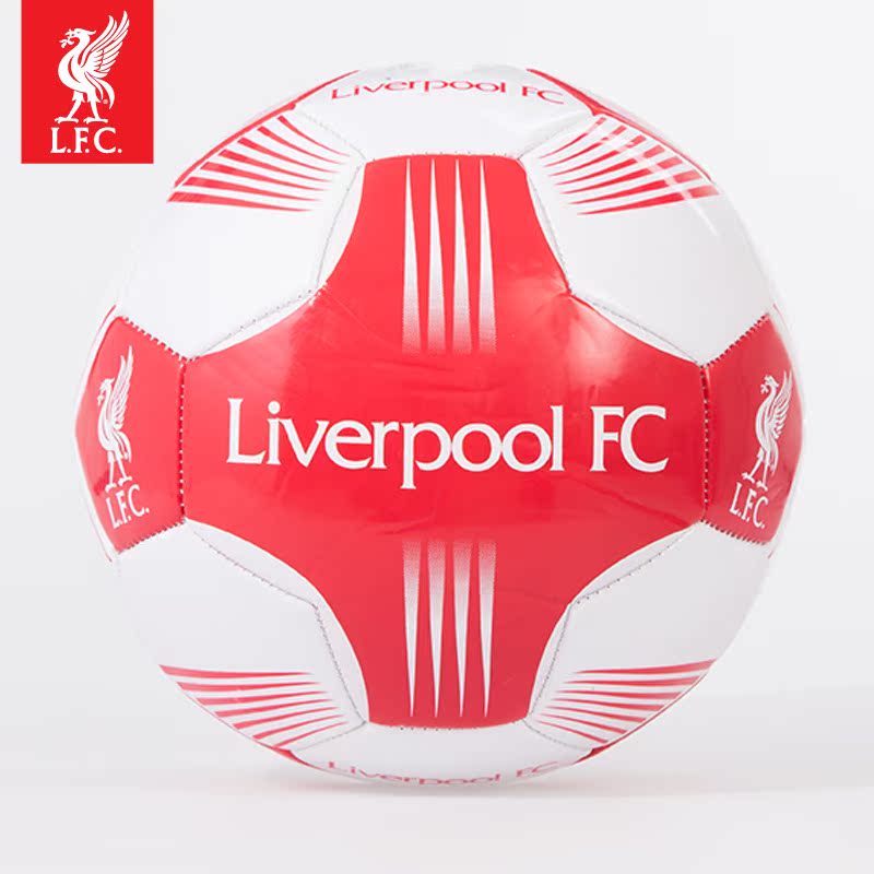 Ballon de foot - Ref 5506 Image 1