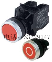 长江电器 按钮开关 CJK22-10P/RO 10P/G1 控制按钮