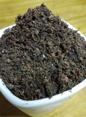 营养土肥沃仙人球多肉植物