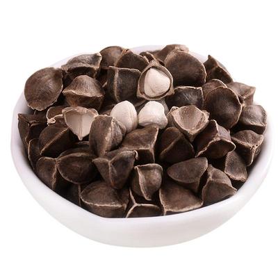 辣木籽 辣木子 中药材供应 辣木树种子 500g克 包邮