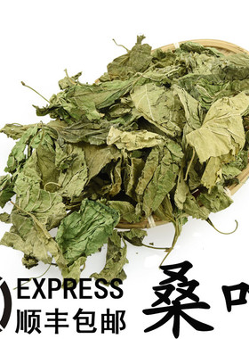 优质中药材桑叶 家桑 荆桑 桑椹树 黄桑叶中草药500克满23元包邮