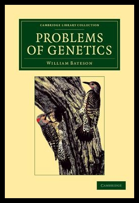 美国库房发货，通常付款后5-8周到货！