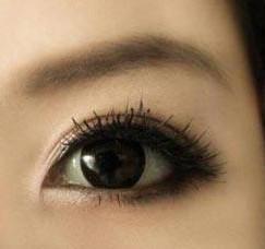 Ardell艾黛尔假睫毛No. 超自然假睫毛 无痕精致 中国代理 110号