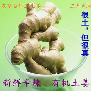 姜粉 姜汁姜茶优质新鲜500g 老姜 包邮 姜片 2021农家自产特级生姜