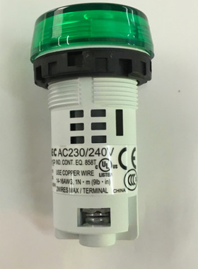 日本和泉 YW系列开孔22 φ22 指示灯（一体型）YW1P-1BUQM3G