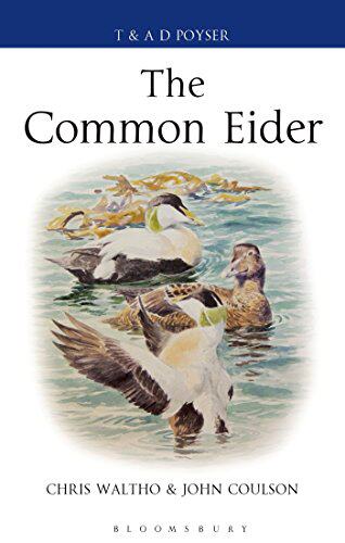 【预售】The Common Eider