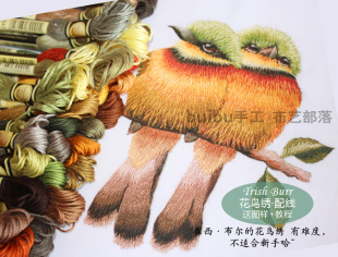 花鸟刺绣配线 崔西·布尔刺绣Trish Burr 一对儿小蜂虎 印图绣布