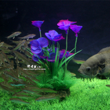 �������_�m