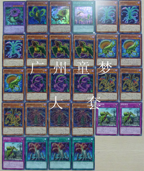 广州童梦正版日文游戏王SPFE小套捕食植物 现货