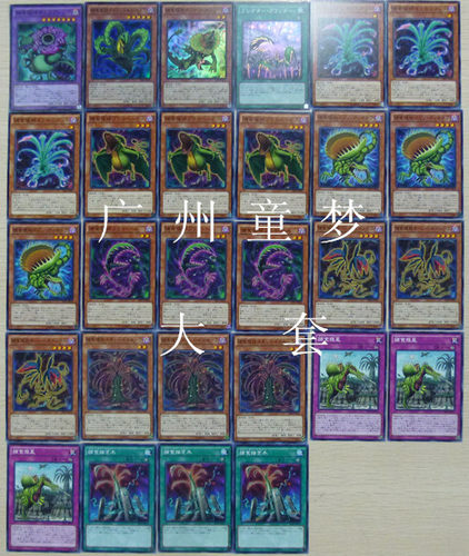 游戏王日文现货捕食植物