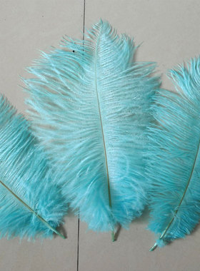 独家定制！淡蓝色鸵鸟羽毛 婚庆桌花路引狂欢节DIY橱窗饰品配件