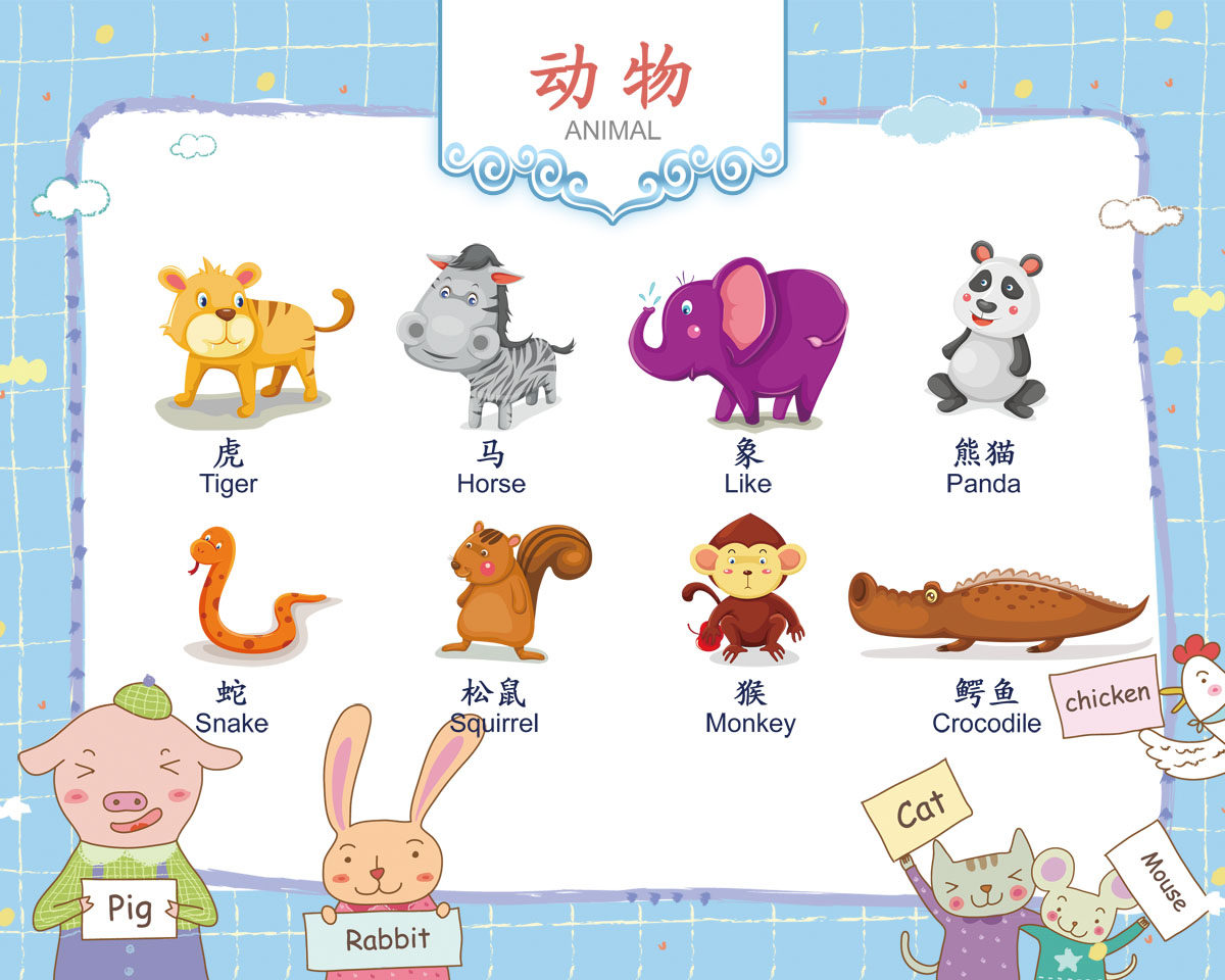 751海报印制展板写真898幼儿园英语儿童英语中英对照图片动物篇