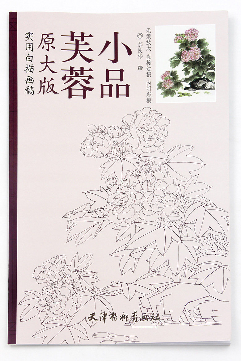实用白描画稿原大版 郝良彬绘 天津杨柳青画社 木芙蓉 花卉画 白描