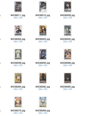 WS 黑白双翼 卡牌 刀剑神域GGO必闪  C平卡