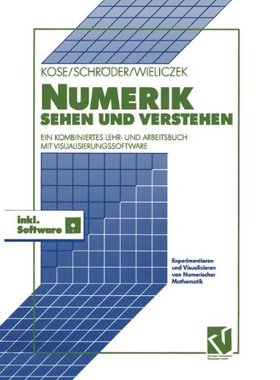 【预售】Numerik Sehen Und Verstehen