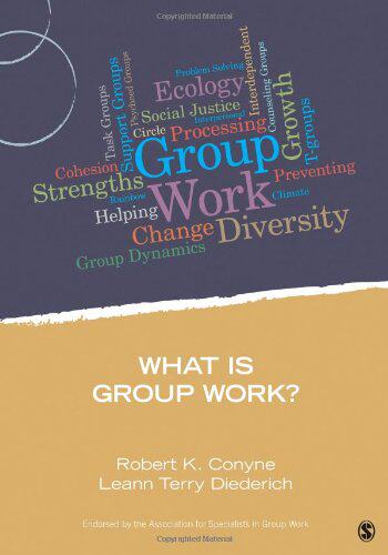 【预售】What Is Group Work?