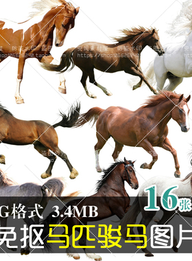(J171)免抠PNG图片马匹骏马宝马平面广告美化装饰设计PS素材